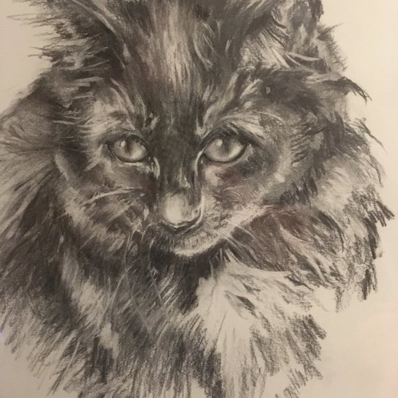 Meet your Posher, Dyan - Picture 5 of 11